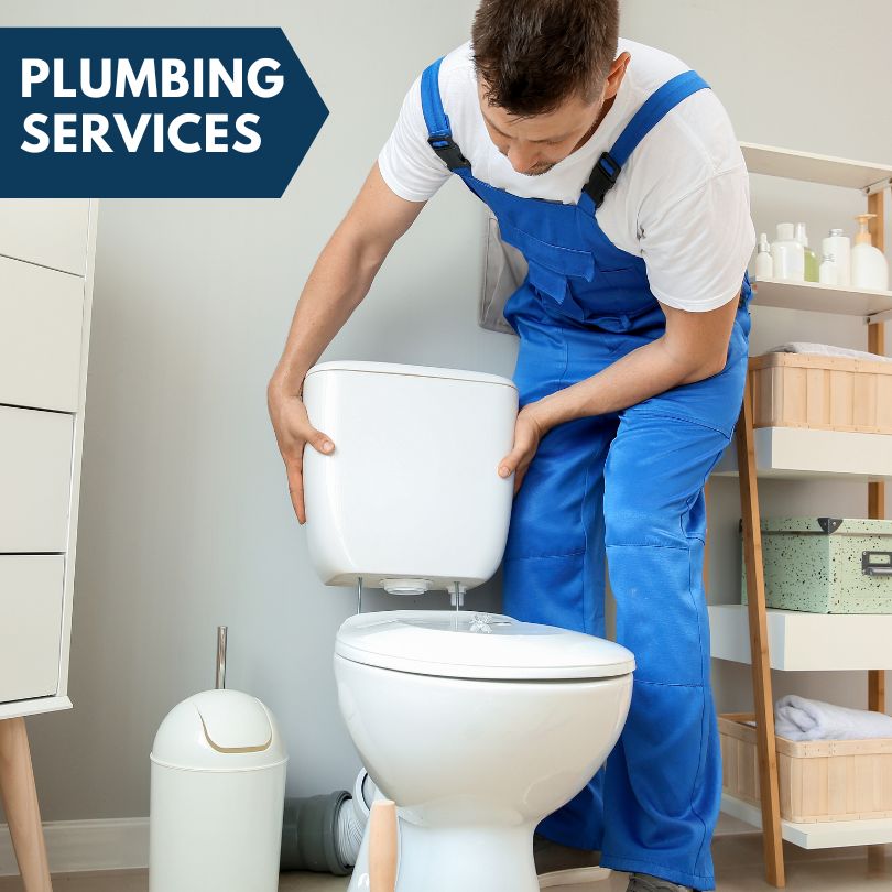 Plumbing Company in Wayne, OH